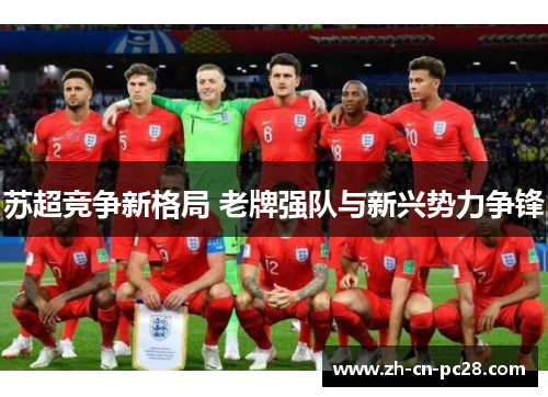 苏超竞争新格局 老牌强队与新兴势力争锋 苏超竞争新格局 老牌强队与新兴势力争锋